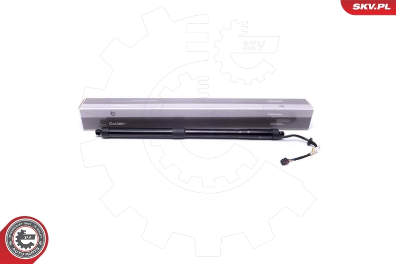 Electric Motor, tailgate